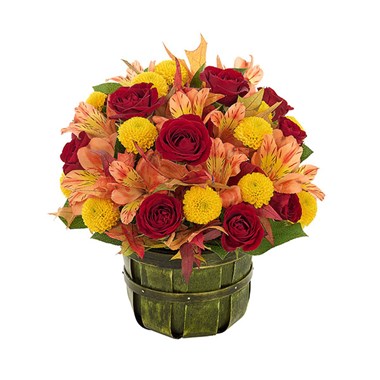 Nature's Splender Basket